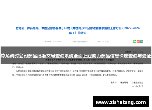尊龙凯时公司药品批准文号查询系统全面上线助力药品信息快速查询与验证
