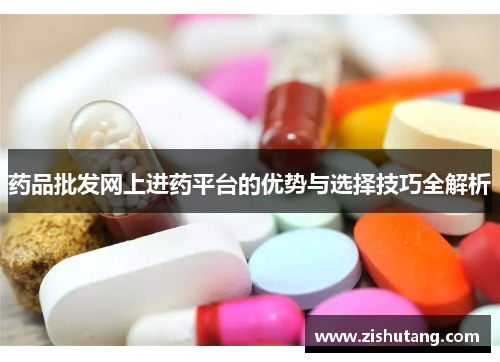 药品批发网上进药平台的优势与选择技巧全解析